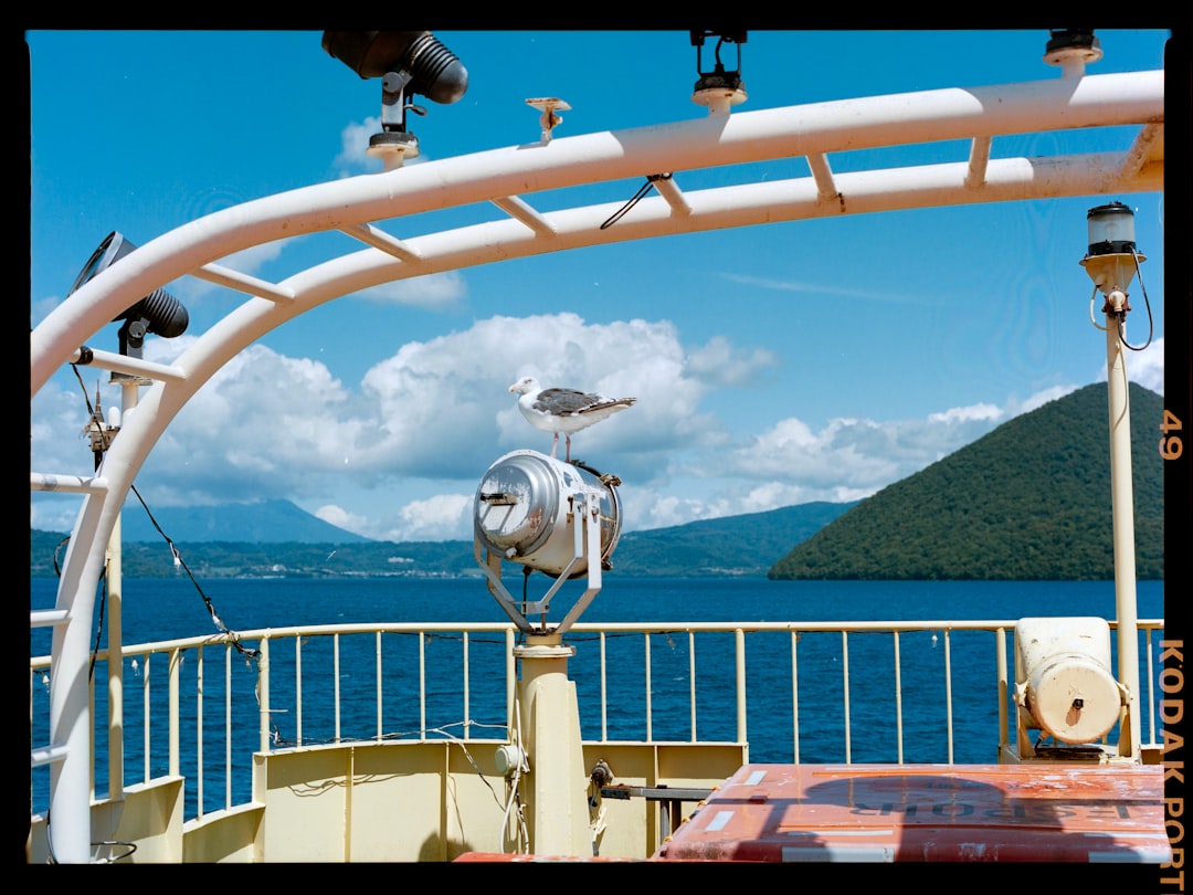 Onbekende telefoontjes uit Groningen: wat betekent +31 50 808 02 67?