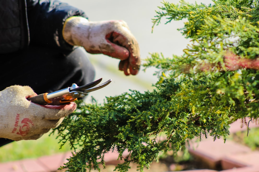 Tuin onderhoud door de seizoenen heen: zo houd je je tuin het hele jaar mooi
